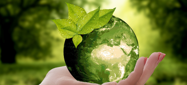 Promoting sustainability and community well-being is at the heart of everything we do Illustration